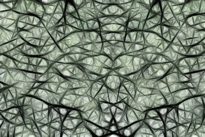 Las neuronas se modifican según la actividad que realicen.