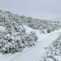 Bariloche anticipa que el turismo dejará más dinero este invierno gracias a un segmento clave
