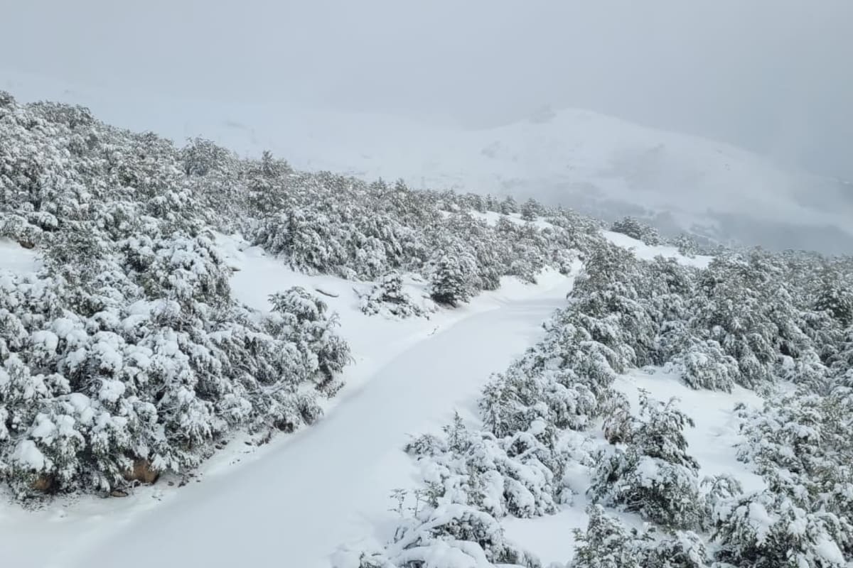 Las nevadas continuarán mañana en Bariloche.