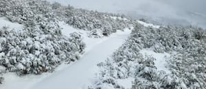 Bariloche anticipa que el turismo dejará más dinero este invierno gracias a un segmento clave