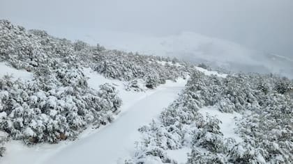 Las nevadas continuarán mañana en Bariloche