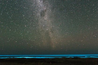 Las noctilucas le dan a Oceanía Polonia unas noches increíbles