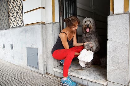 Las normas de aislamiento también afectan el ánimo de los perros,