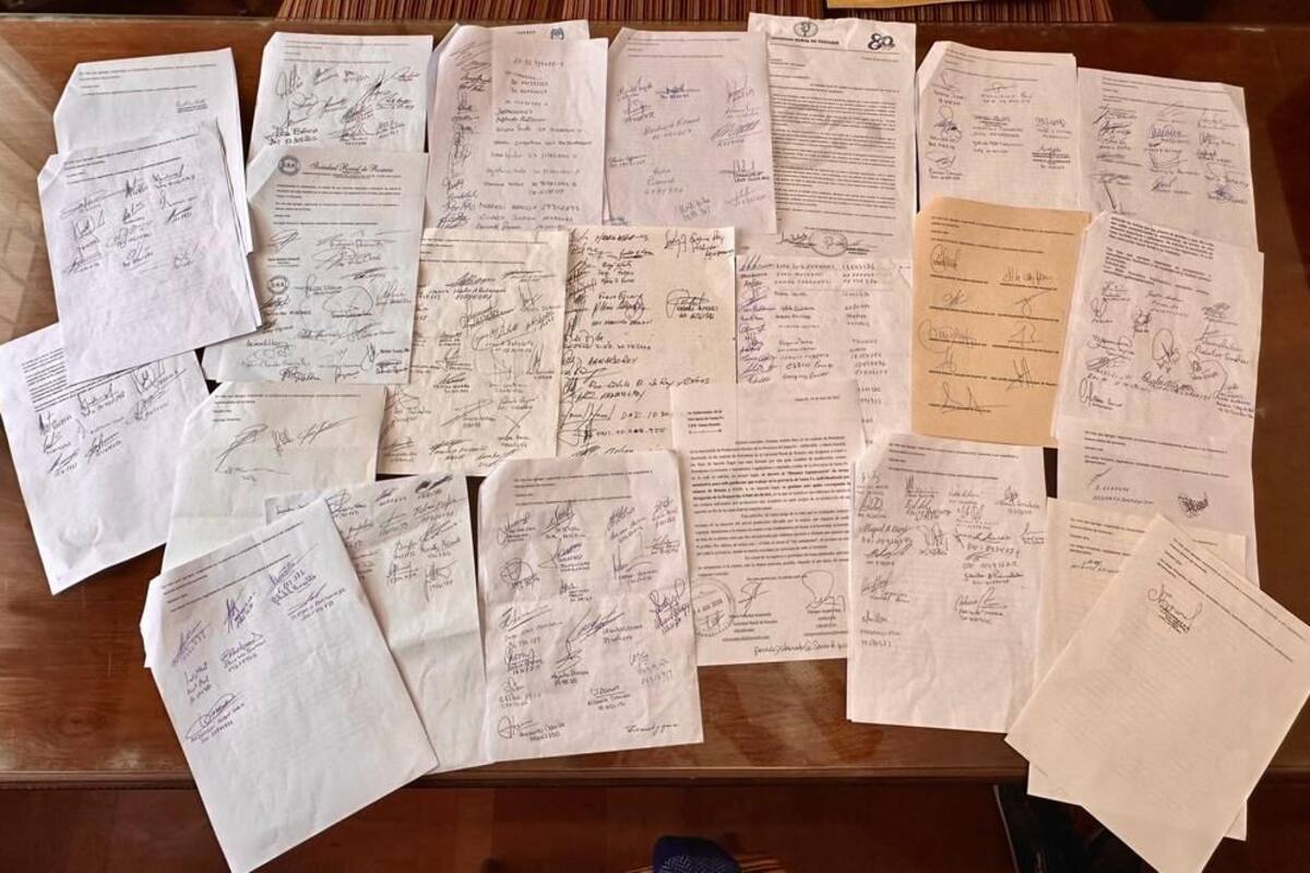 Las notas entregadas al gobernador Omar Perotti