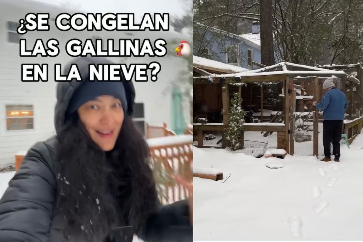 Las noticias sobre la ola polar generaron preocupación en los admiradores de las pequeñas aves. (Facebook Tuty Vega)