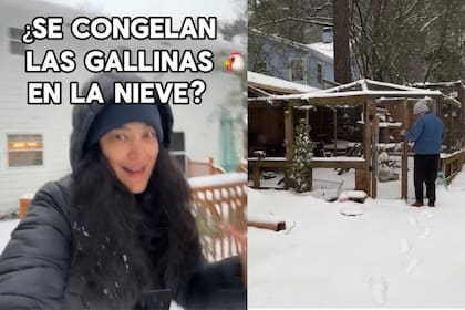 Las noticias sobre la ola polar generaron preocupación en los admiradores de las pequeñas aves. (Facebook Tuty Vega)