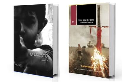 Las novelas "Mandato", de Julio Céliz, y "Esto que me pasa", de Fremdina Bianco, podrían llegar a la pantalla