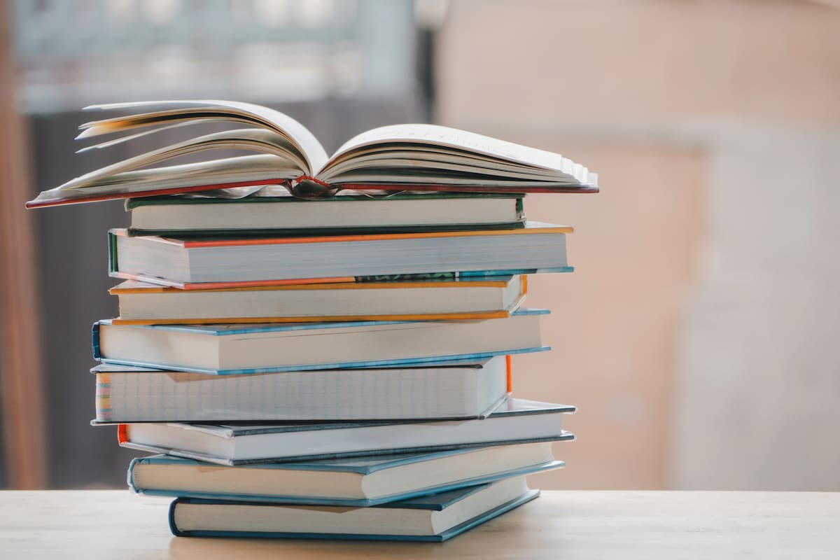 Las novelas y cuentos subescritos, los textos ultraprocesados de taller literario, las ficciones que nacen de una ambición comercial, la literatura del yo por su vocación narcisista son literatura blanda