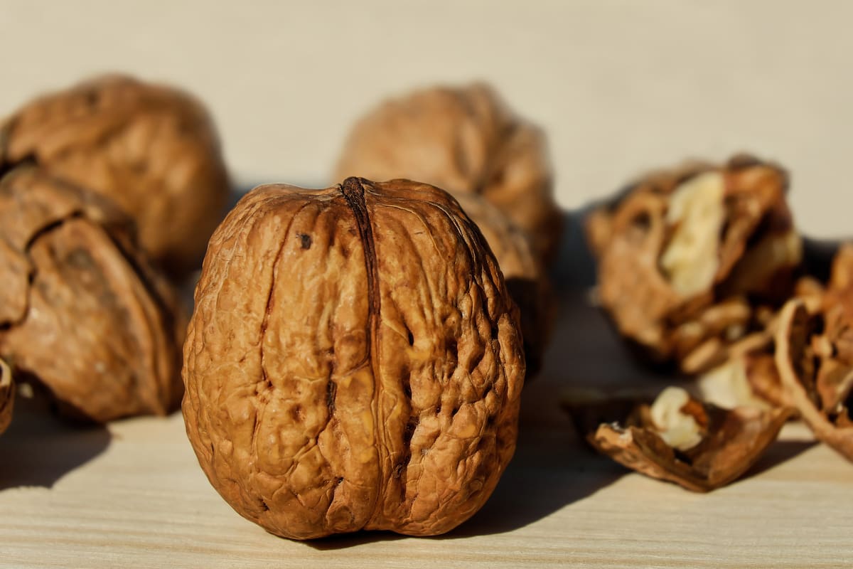 Las nueces son parte de la dieta humana desde tiempos prehistoricos
