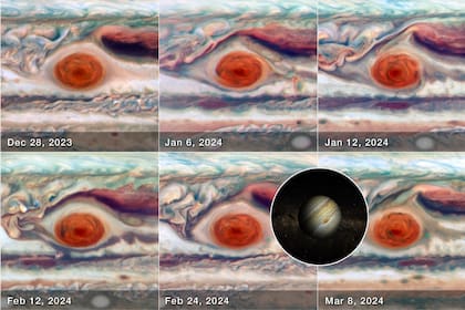 Las nuevas imágenes de Hubble revelaron que la tormenta más famosa del sistema solar oscila en forma y velocidad, por ahora, sin una explicación clara