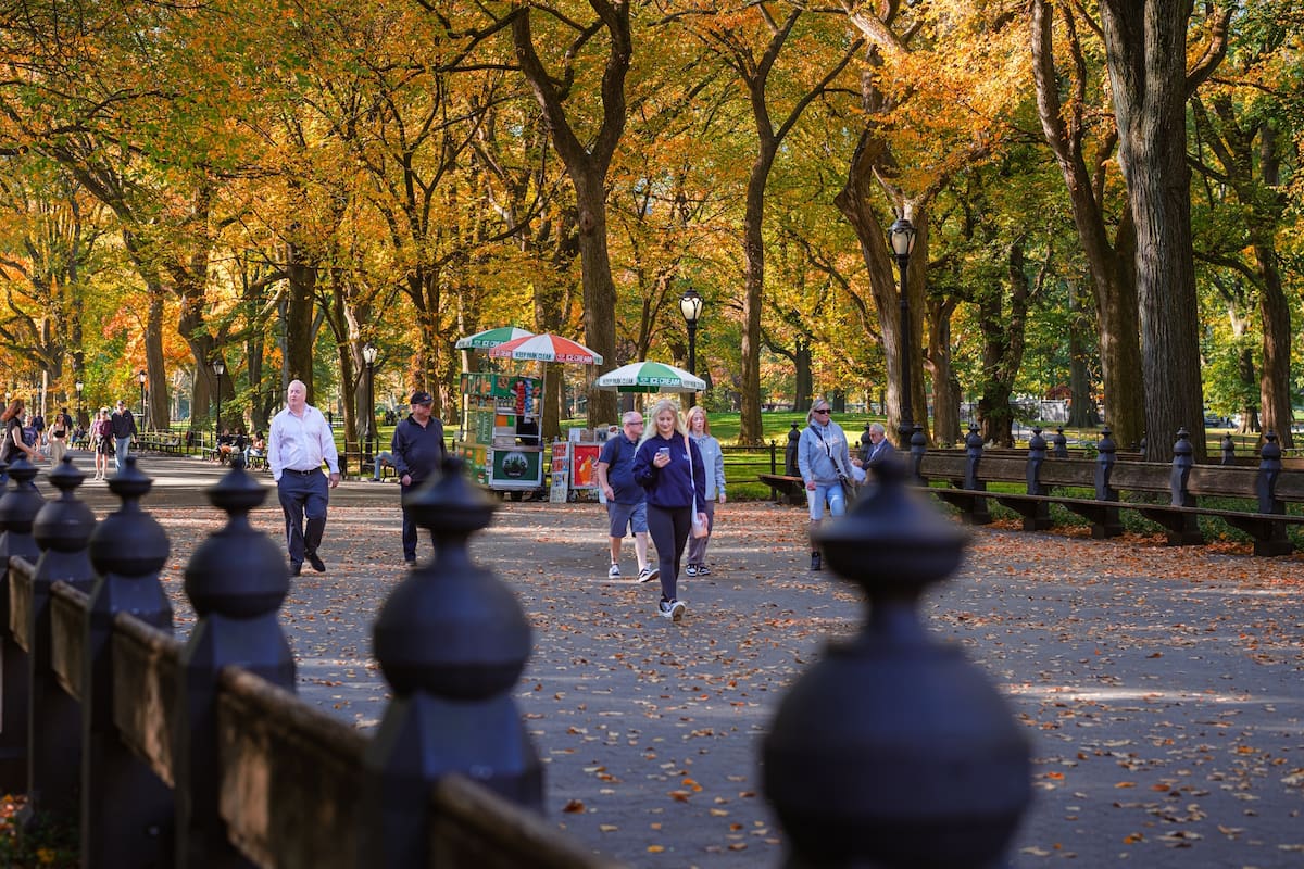 Las nuevas leyes de Nueva York reflejan un enfoque integral hacia la seguridad, la equidad y la protección de derechos básicos