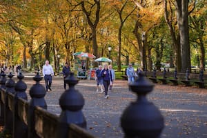 Las nuevas leyes de Nueva York reflejan un enfoque integral hacia la seguridad, la equidad y la protección de derechos básicos