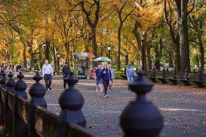 Las nuevas leyes de Nueva York reflejan un enfoque integral hacia la seguridad, la equidad y la protección de derechos básicos