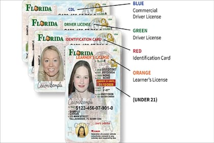 Las nuevas licencias de conducir de Florida se emiten con colores de encabezado designados según el tipo de documento