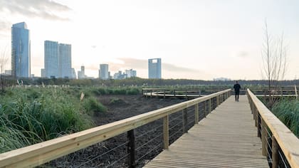Las nuevas pasarelas de la Reserva Ecológica Costanera Sur desde donde puede contemplarse la biodiversidad del lugar y los edificios de Puerto Madero