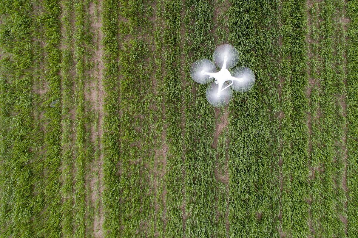 Las nuevas tecnologías cambian la forma de producir