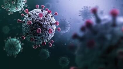 Las nuevas versiones del virus son cada vez más infecciosas y con capacidad de eludir la respuesta inmune.
