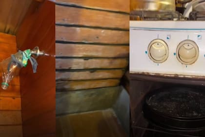 Las nueve amiga se llevaron una gran sorpresa (Foto captura TikTok @inessalaberry)