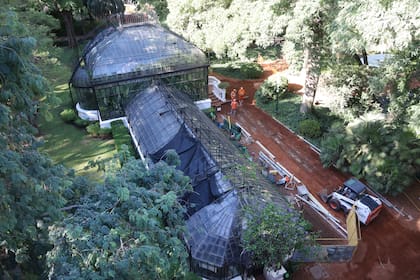 Las obras que atraviesan el Jardín Botánico Carlos Thays no buscan solo recuperar su patrimonio, también apuntan a mejorar la experiencia de quienes lo visitan