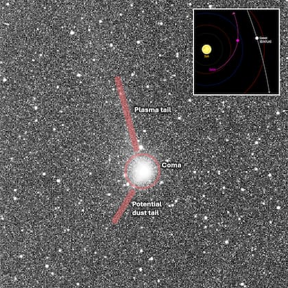 Las observaciones de la Agencia Espacial Europea (ESA) detalla cómo la cámara de navegación de Juice capturó una imagen de la coma y posibles dos colas del cometa