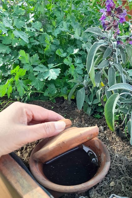 Las ollas trabajan solas, manteniendo el equilibrio de humedad necesario para las plantas