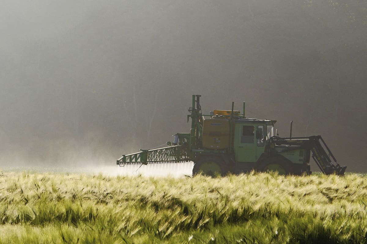 Las ONG ambientalistas locales no tienen dudas: Argentina fue un experimento a cielo abierto para el herbicida y la soja transgénica.