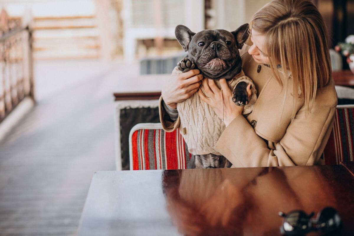 Las ordenanzas municipales en Florida permiten perros en áreas exteriores bajo ciertas condiciones