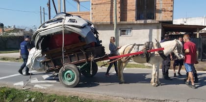 Las organizaciones sociales se dedican a recuperar a los equinos descartados o mutilados por el trato durante su uso