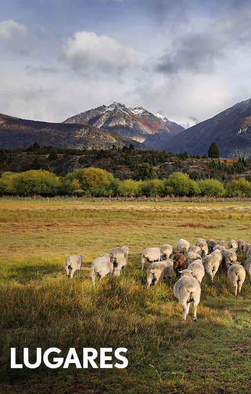 Las ovejas son protagonistas en los cuatro valles de este pueblo patagónico