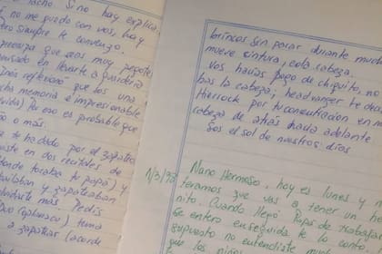 Las páginas que publicó Manuel en Twitter
