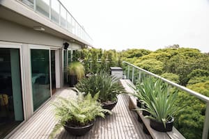 Las pailas con Strelitzia reginae y helechos Dryopteris filx-mas caracterizan el sector de living y parrilla.