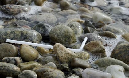 Las pajitas de plástico para beber suelen terminar en las costas del océano