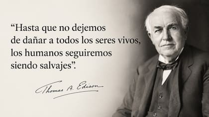 Las palabras de Thomas Edison siguen vigentes en pleno 2026