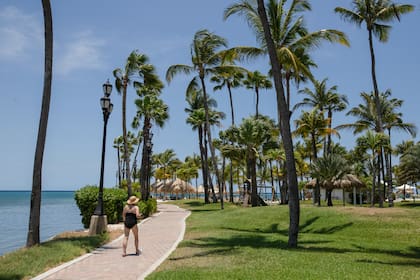 Las palmeras y el mar turquesa acompañan todo el litoral de la isla.