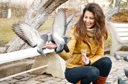 Las palomas son entrenadas desde hace décadas para enviar mensajes desde un punto al otro (imagen ilustrativa)