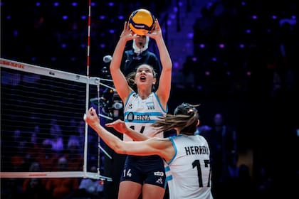 Las Panteras afrontan ante Puerto Rico su último compromiso en la Copa del Mundo de Polonia - Países Bajos 2022