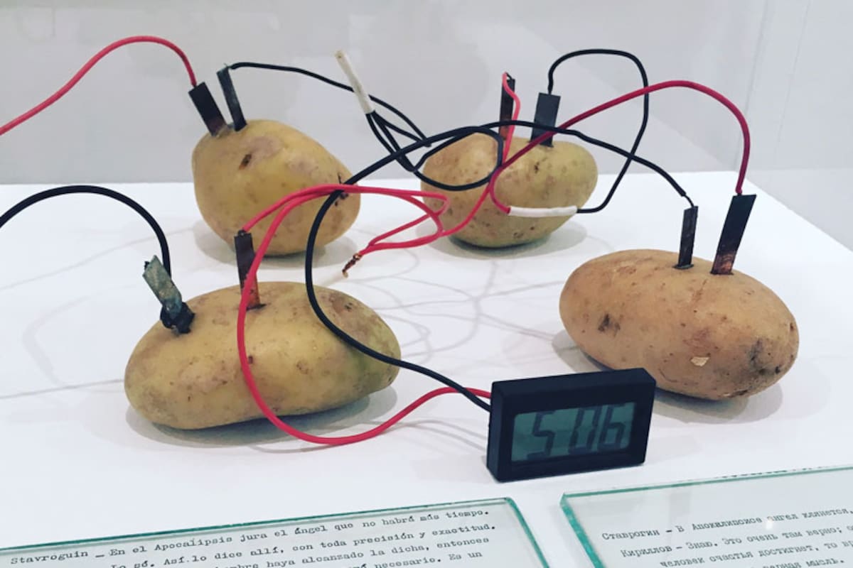 Las papas de Víctor Grippo, uno de los artistas conceptuales más respectados en América latina