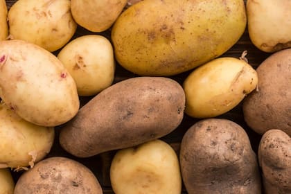 Las papas y las batatas son dos de los tubérculos más consumidos del mercado, aunque no los únicos que existen para una alimentación saludable