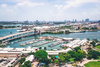 Las paradas de autobús de Miami tienen cada vez más árboles alrededor