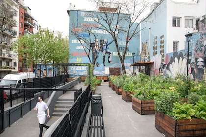 Las paredes que contienen y rodean la plaza donde funciona la huerta están intervenidas con grandes murales de artistas