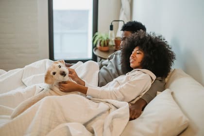 Las parejas que comparten la crianza de una mascota experimentan un bienestar en la relación superior al de aquellas que no tienen esta experiencia (imagen ilustrativa)