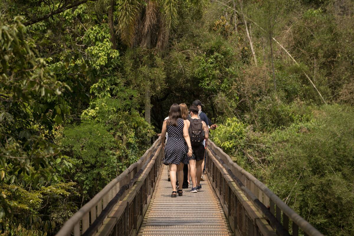 Las pasarelas del parque Nacional Iguazú. Foto de archivo.