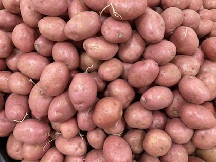 Las patatas moradas, azules y rojas se consideran las opciones más saludables (Pexels/TYPHOON BRO)