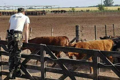 Las patrullas rurales se crearon para prevenir hechos en el ámbito rural
