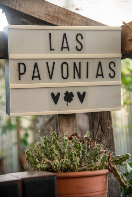 Las Pavonias surgió en medio de la pandemia