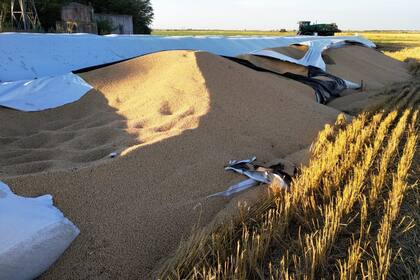 Las pérdidas ascienden a $300.000