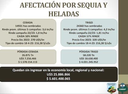 Las pérdidas en números ocasionadas en trigo y en cebada en Carlos Tejedor