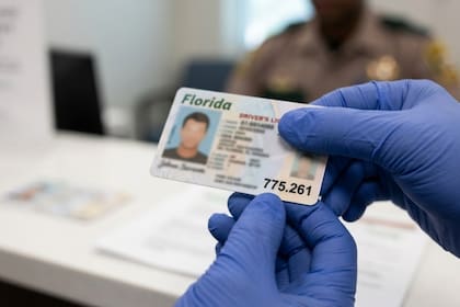 Las personas afectadas por la ley deberán llevar la inscripción "775.261" en la parte frontal de la licencia