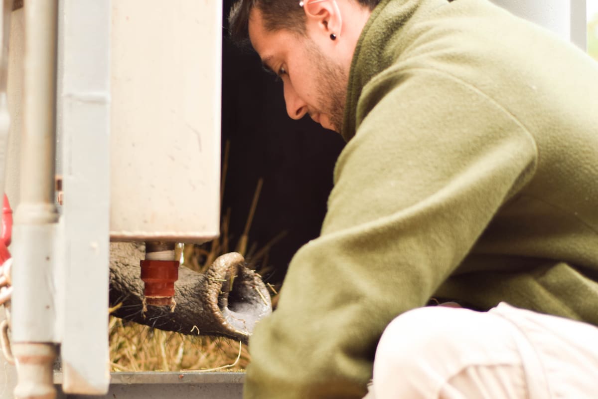 Las personas claves detrás del viaje de la elefanta Pupy a la libertad.
Lautaro Posse. Veterinario