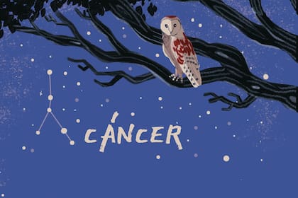 Las personas con ascendente en Cáncer pueden saber que les deparan los astros para este fin de semana.